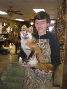 Insert your own joke about a fox here, but here's Becca with a fox she's worked on.