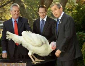 Quick quiz: Who's the turkey in this picture?